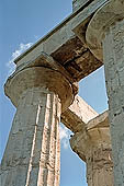 Selinunte the temple hill - A close-up of the Doric columns of temple E, 10 m high and with a diameter of more than 2 meters. 